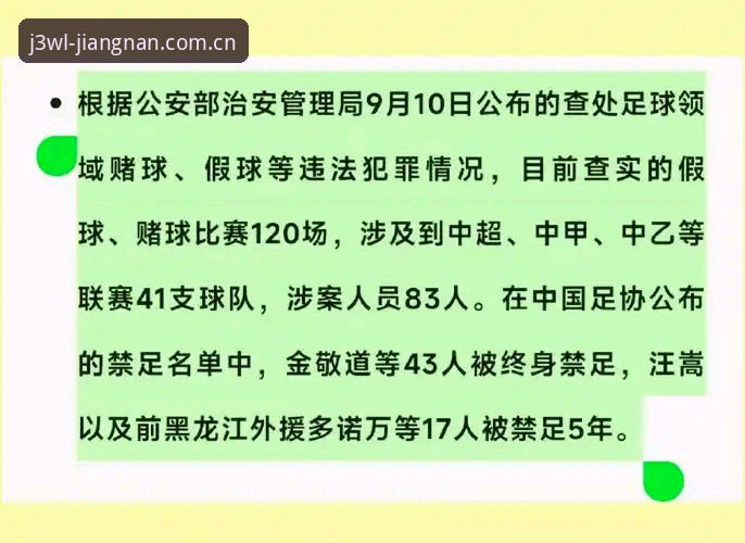 足协第三批禁足名单深度解读：从数据洞察到足球生态治理的完整观察指南